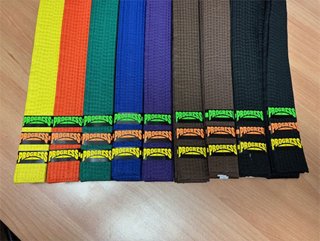 Back of Progress Test Belt Stripes from Merit Badges International