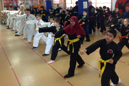 Karate class using merit badges system