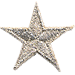 Silver Star