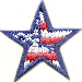 USA Flag Star